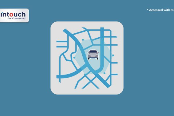 All New Yaris Cross Hev